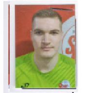 Vileš Irhad
