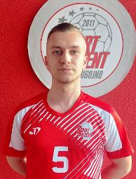 Šehić Sedin