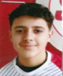 Tarik Spahić